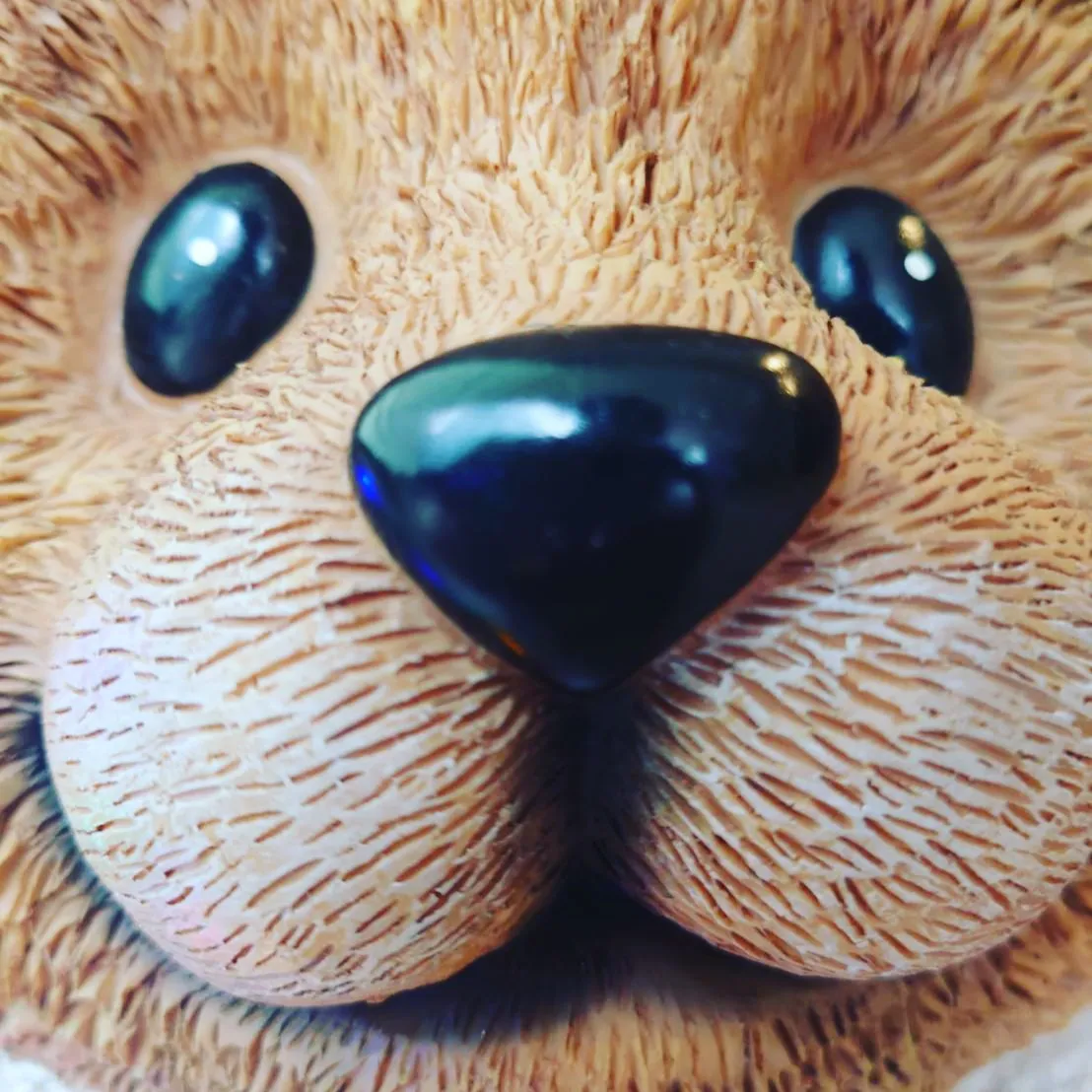 年末が近づくこの時期、年内に虫歯の治療を済ませて新年を迎える...