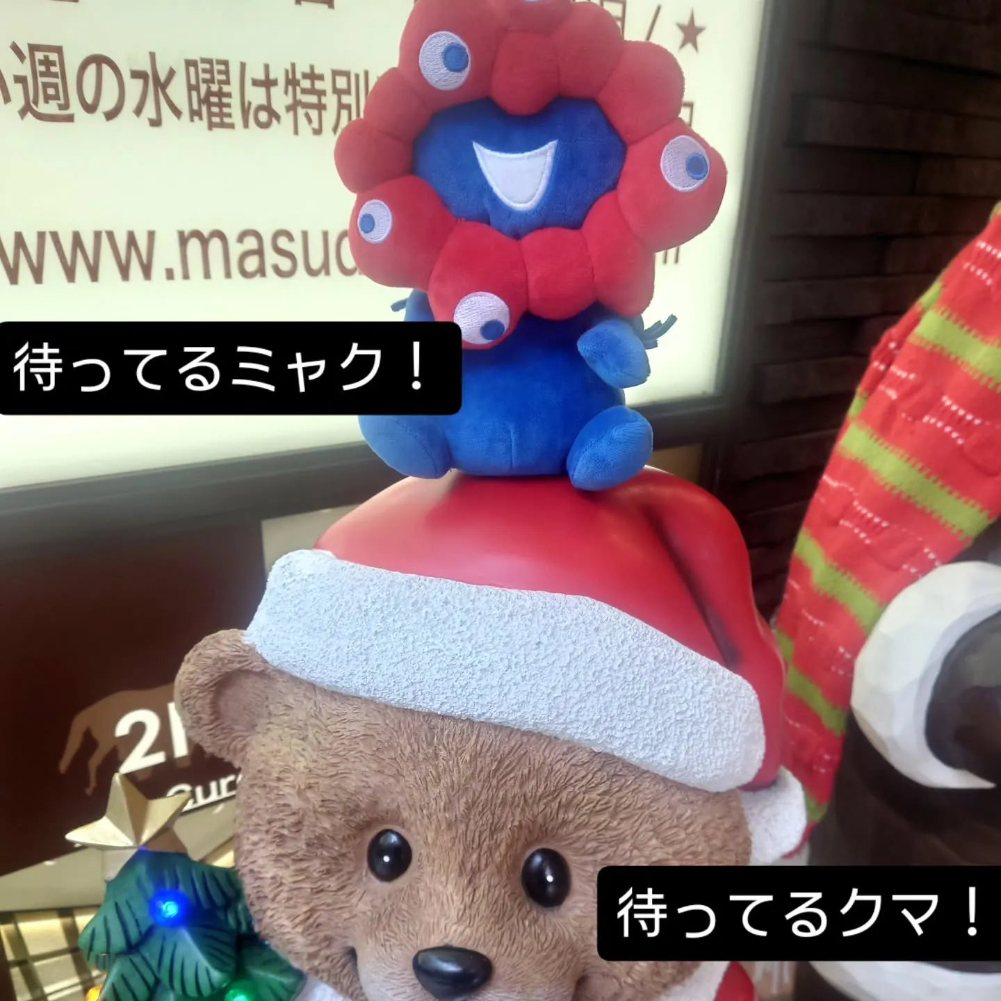 来週の治療枠、予防枠に若干の空きがございます📢