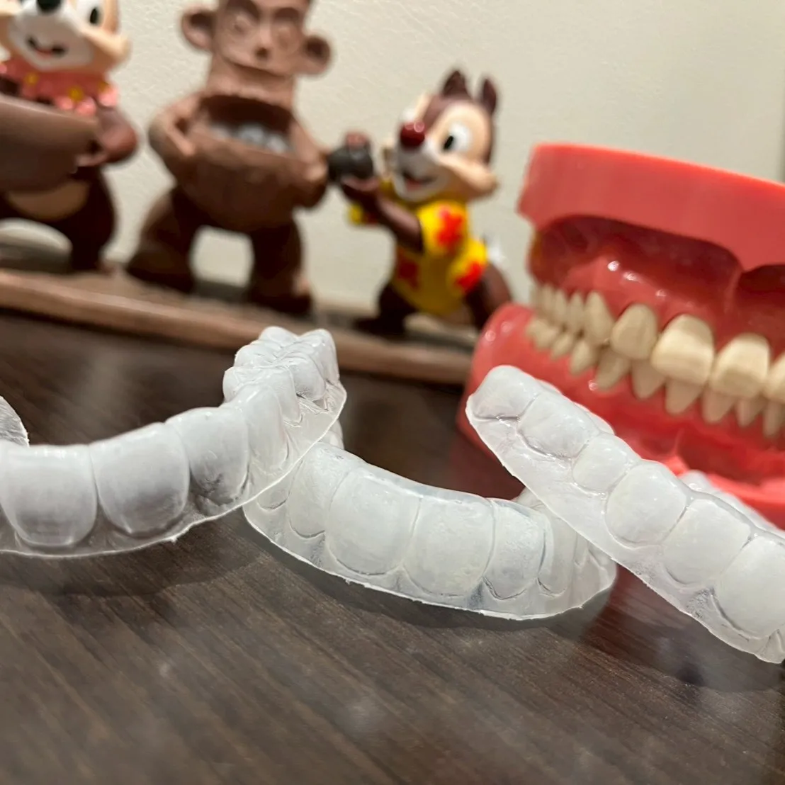 春になりました🌸